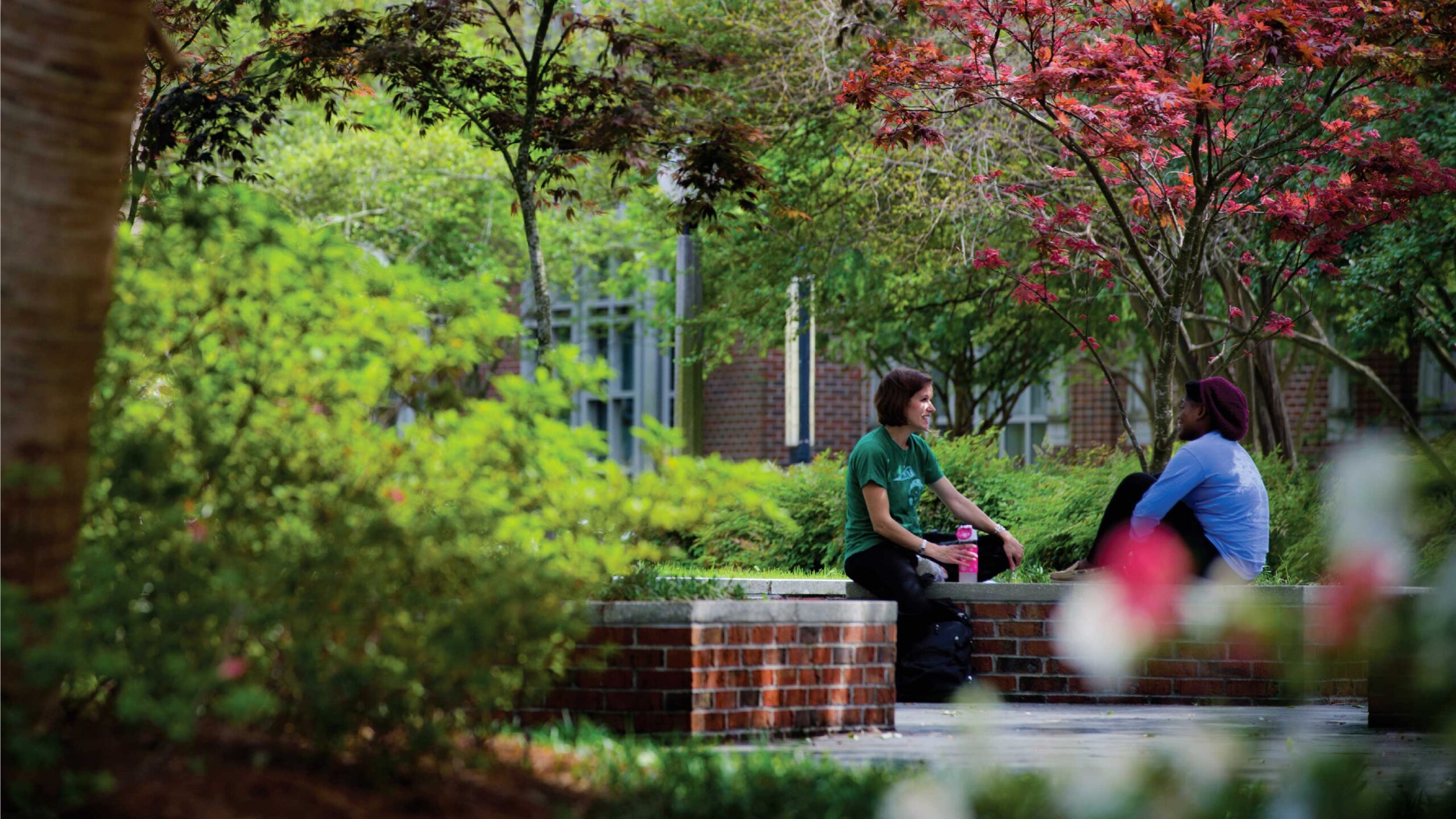 tulane-mentor-institute