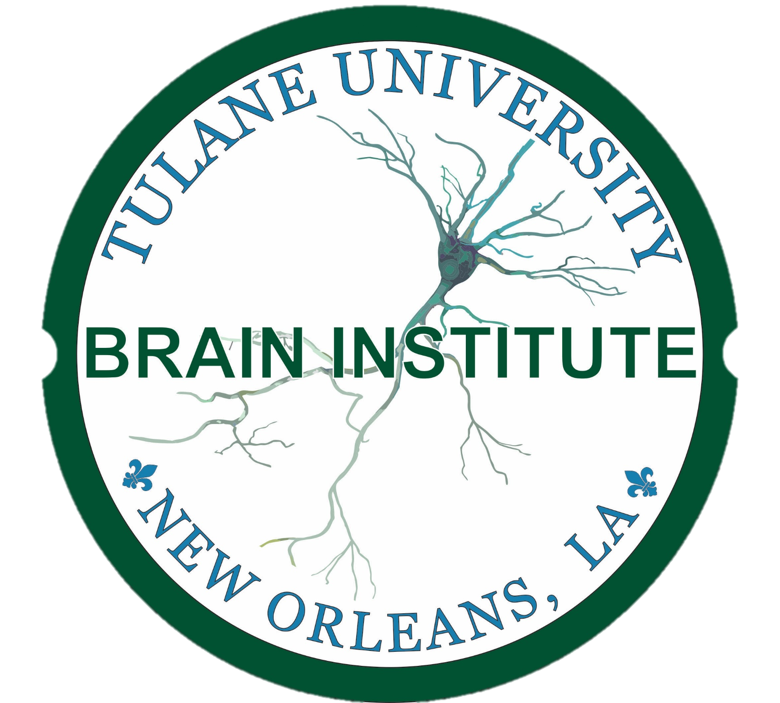 The Brain Institute